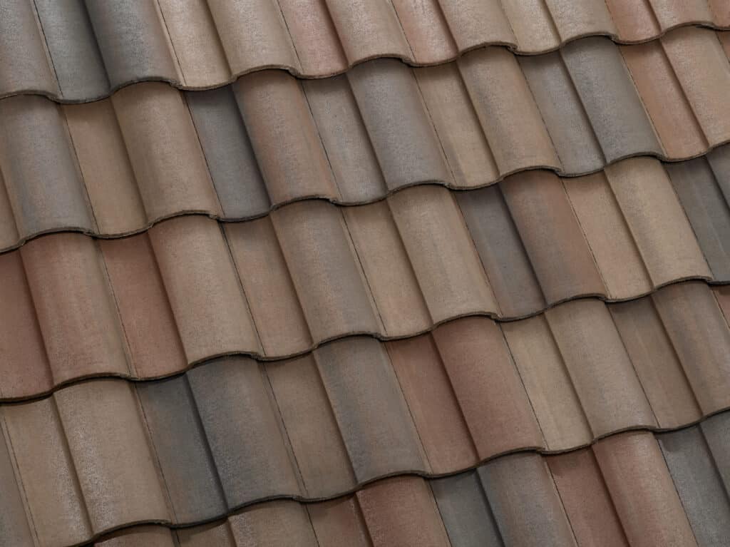 3402 Santa Cruz Blend