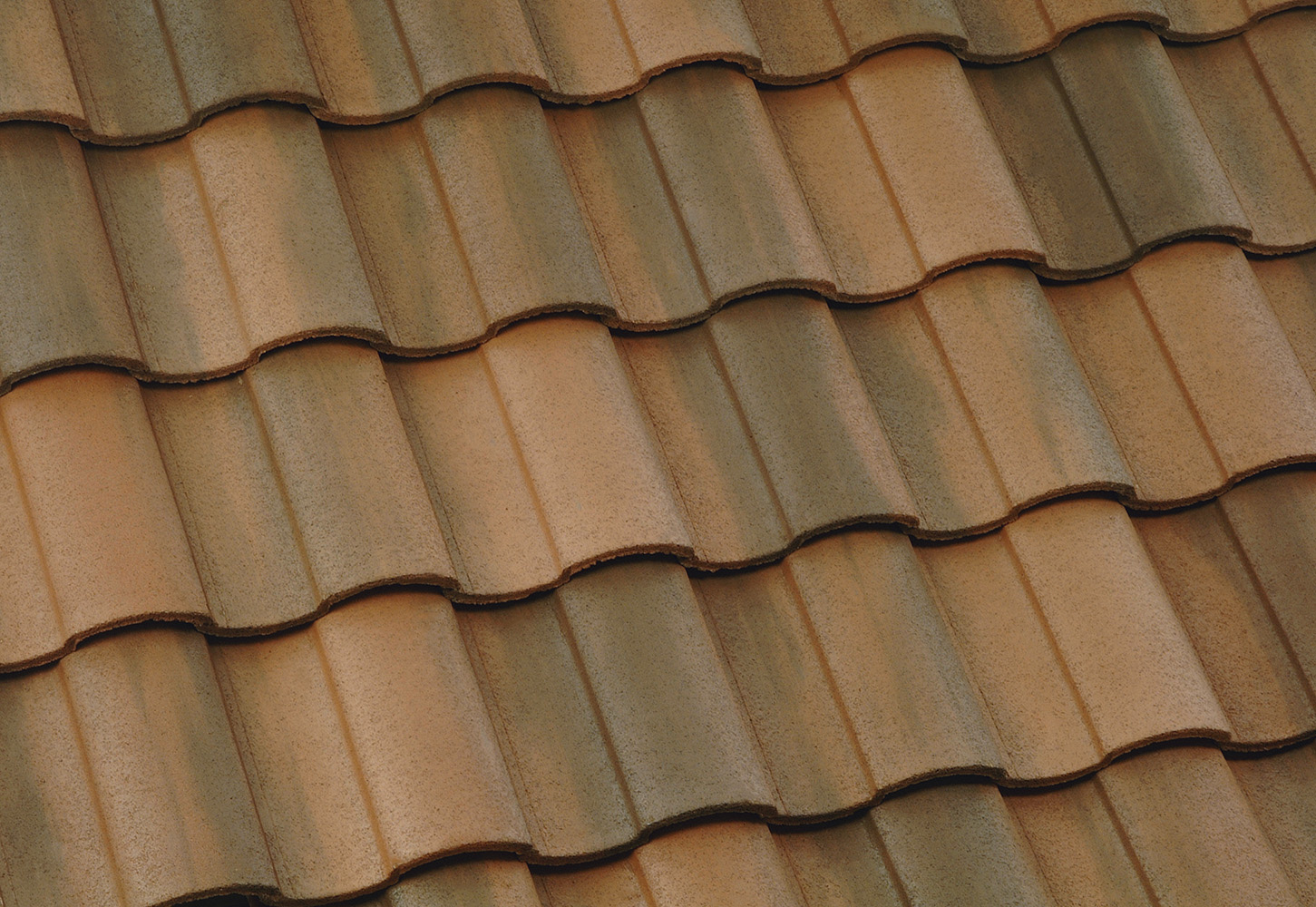 3645 Sunrise Blend