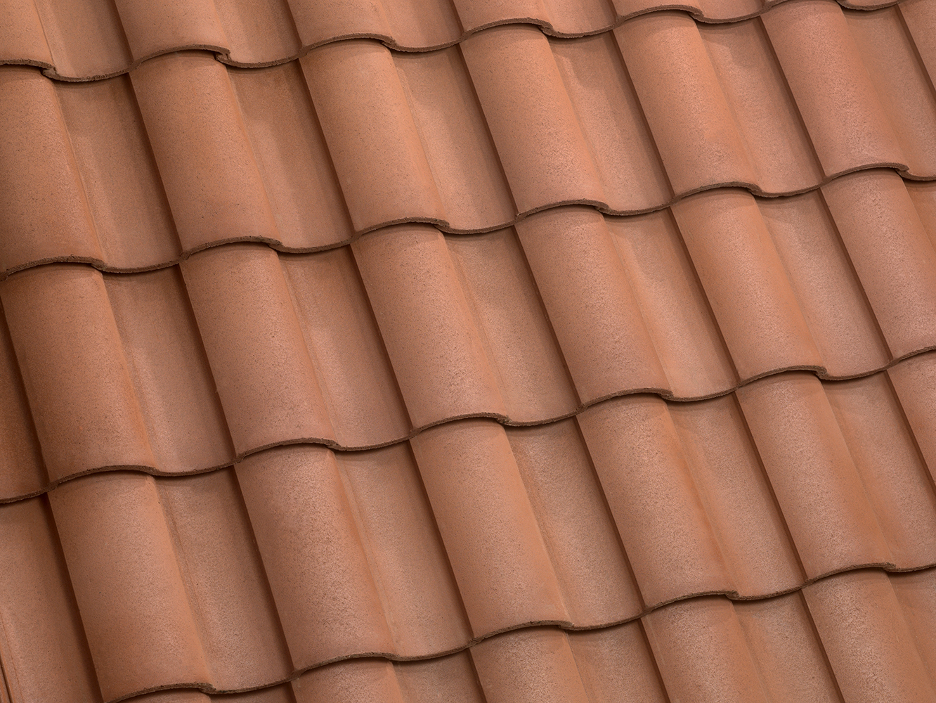 3664 Terracambra Range