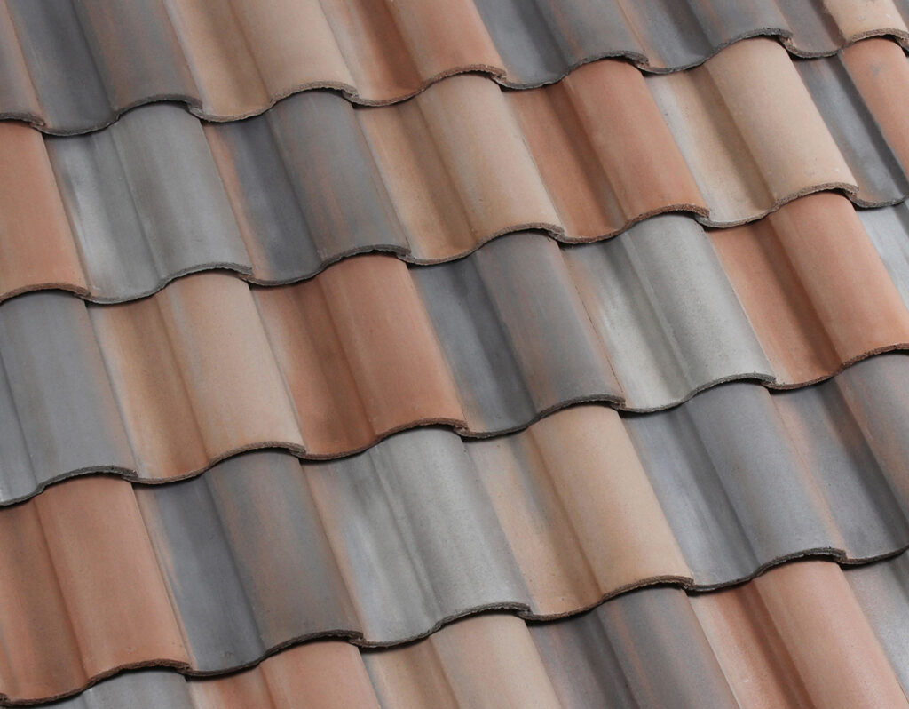 3688 Buena Vista Blend