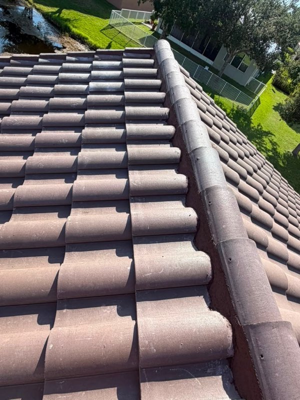 Eagle Capistrano high barrel S-tile roof on a Florida Mediterranean home